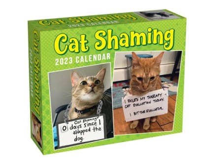 Cat Shaming 2023 Day-To-Day Calendar foto