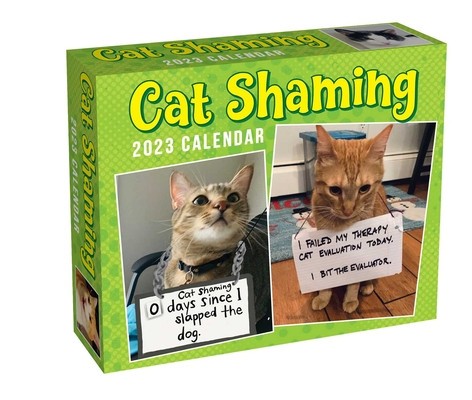 Cat Shaming 2023 Day-To-Day Calendar