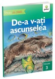 De-a v-ati ascunselea &bull; nivelul 3