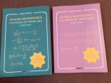 ANDREI VERNESCU ANALIZA MATEMATICA CLASE A XI SI A XII A 2 VOLUME 1030 PROBLEME REZOLVATE COMPLET