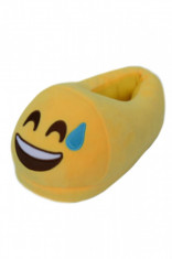 PC23-9 Botosei de casa pufosi cu emoticon sweat grinning foto