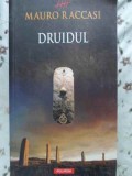 Druidul - Mauro Raccasi, Polirom, 2011, Thriller, Roman, 418 pagini, Paperback