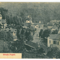 547 - SINAIA, Prahova, Post Office street, Romania - old postcard - used - 1908