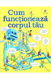 Cum functioneaza corpul tau - Corint