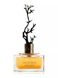 Aurora, Deciduous Autumn, Apă de parfum, Pentru femei, 100 ml