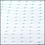 Plasa Anti-Pasari 2X20M