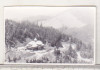 Bnk foto Hotel Alpin Rarau - Cabana veche, Alb-Negru, Romania de la 1950, Cladiri