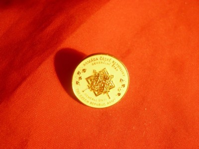 Insigna Stat Major al Armatei Cehe - Stema - metal si email , d=1,7cm foto