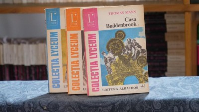 Casa Buddenbrook (3 volume) - Thomas Mann foto