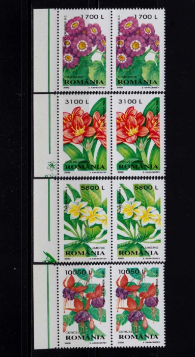 ✅RO 2000 LP 1510 &quot;Plante de apartament&quot; , pereche din diverse margini , MNH