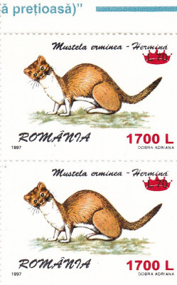 ROMANIA 2000 LP 1505 FAUNA 97 SUPRATIPAR COROANA PERECHE SERII MNH foto