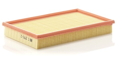 MANN-FILTER C 2991/2 Filtru aer foto