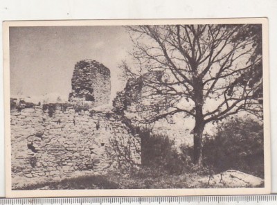 bnk cp Suceava - Ruine la Cetate - necirculata - Libraria noastra foto