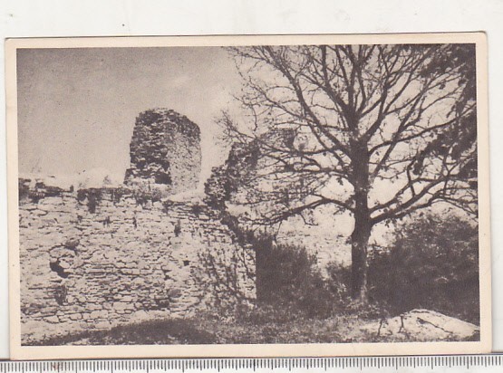 bnk cp Suceava - Ruine la Cetate - necirculata - Libraria noastra