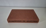 Medicina Mircea Ifrim Compendiu de anatomie