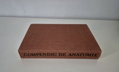 Medicina Mircea Ifrim Compendiu de anatomie