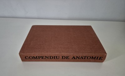 Medicina Mircea Ifrim Compendiu de anatomie foto