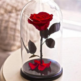 Trandafir Criogenat rosu XL &Oslash;6,5cm in cupola sticla 10x20cm