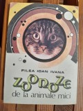 Filea Ioan Ivana Zoonoze de la animale mici