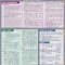 Spanish Verbs Laminate Reference Chart