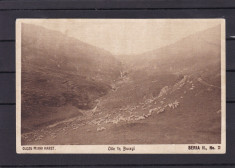 OILE IN BUCEGI CLISEU MIHAI HARET FOTOGRAVURA CARTEA ROMANEASCA foto