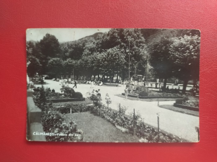 CARTE POSTALA - RPR - CALIMANESTI - VEDERE DIN PARC