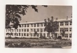 RF175 - Carte Postala - Marghita, circulata 1968
