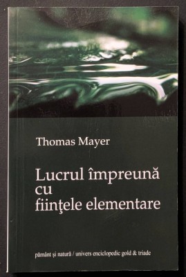 rara LUCRUL IMPREUNA cu FIINTELE ELEMENTARE &amp;ndash;&amp;nbsp;Thomas Mayer 13 Convorbiri cu practicanti 239 pag 2013 Univers Enciclopedic Stare ca noua (/elementale) foto