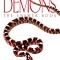 Demons the Answer Book