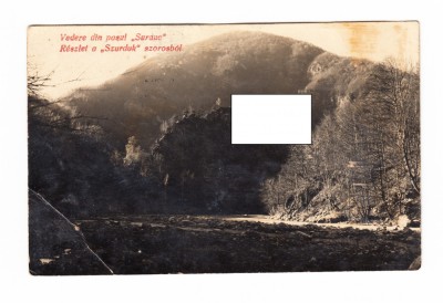 CP Vedere din pasul Surduc, interbelica, circulata, stare relativ buna foto