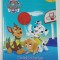 PAW PATROL , MECIUL DE BASCHET , O POVESTE CU ACTIVITATI , 2020