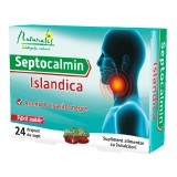 Cumpara ieftin Septocalmin Islandica, 24 drajeuri, Naturalis