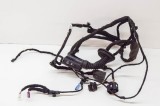 Cablaj ușă st&acirc;nga spate BMW 6 Gran Turismo G32 2018 OEM: 4393317,8795426 11624881