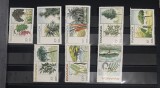 RWANDA 1983 - FLORA si FAUNA - ARBORI