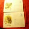 2 Plicuri ilustrate Luna Padurii &#039;97 , cod 6, 7 /97