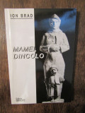 Mamei, dincolo - Ion Brad (autograf), Didactica si Pedagogica