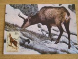 M5 - maxima - tematica fauna - animale 2 - prima zi a emisiunii sau expozitii, Romania de la 1950