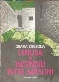 Cenusa. Incendiu intre maslini - Grazia Deledda