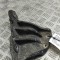 Suport motor dreapta MASERATI LEVANTE SUV M161 2016 OEM: 670034567 30562743