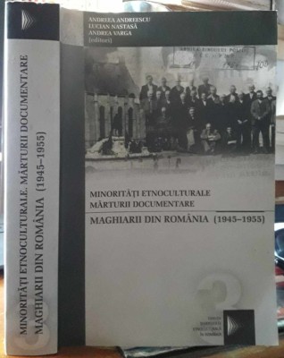 Andreea Andreescu-Minoritati etnoculturale-Maghiarii din Romania foto