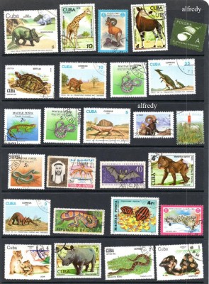 Fauna, lot uzat, stampilat foto