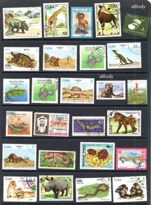 Fauna, lot uzat, stampilat