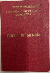 1954 Carnet membru UTM, Uniunea Tineretului Muncitor, Raionul Sighisoara, Leonte Margareta Elvira, comunism, stalinism, propaganda, partid