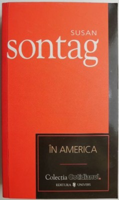 In America &amp;ndash; Susan Sontag foto