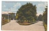 SV * Bacau * GRADINA PUBLICA * 1920, Circulata, Necirculata, Fotografie, Printata