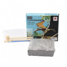 Set educativ paleontologie descopera fosile dinozaur Pterosaur