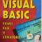 Visual Basic - Primii pasi si urmatorii - Luminita Fanaru