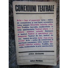 CONEXIUNI TEATRALE-AMZA SACEANU