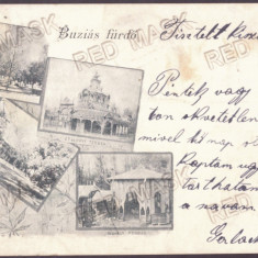 4994 - BUZIAS, Timis, Litho, Romania - old postcard - used - 1902