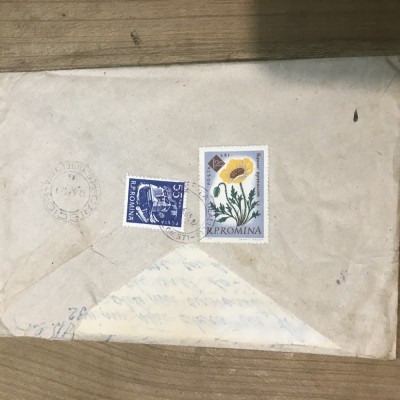 OPI Intreguri Postale RPR flori foto